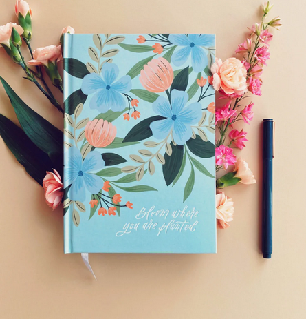 Notebook, Bloom