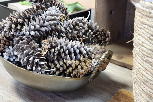 Waxed Pinecones, Firestarter